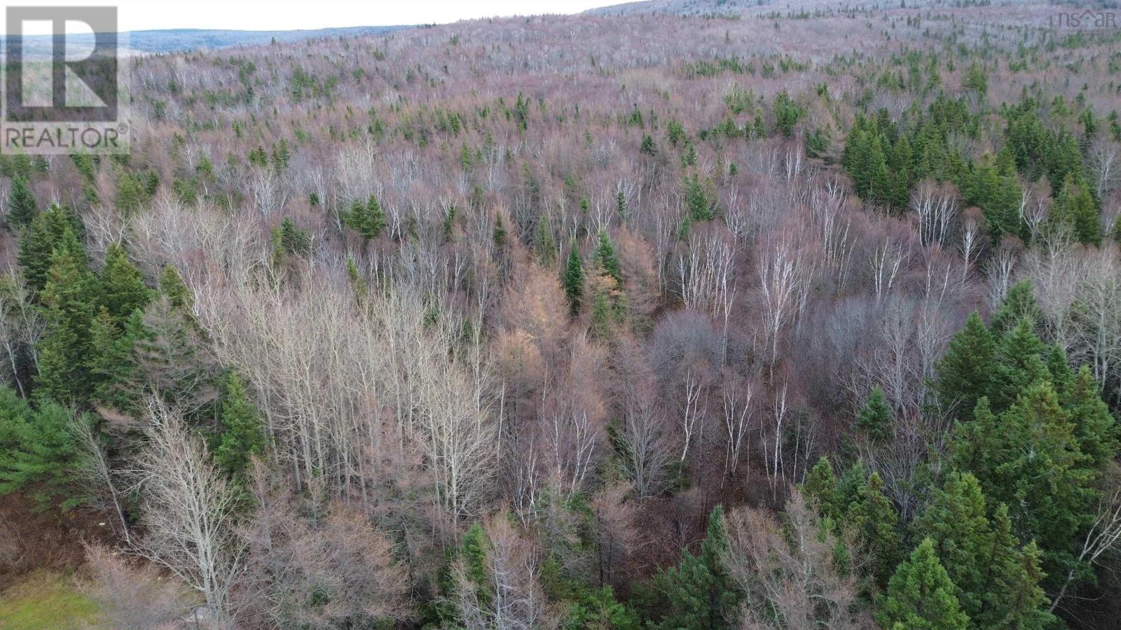 4 5049 (P) Road, Long Point, Nova Scotia  B9A 1P3 - Photo 12 - 202521261