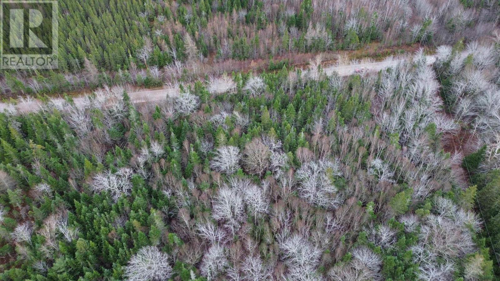 Acreage 105 Highway, Queensville, Nova Scotia  B9A 1S8 - Photo 10 - 202525023