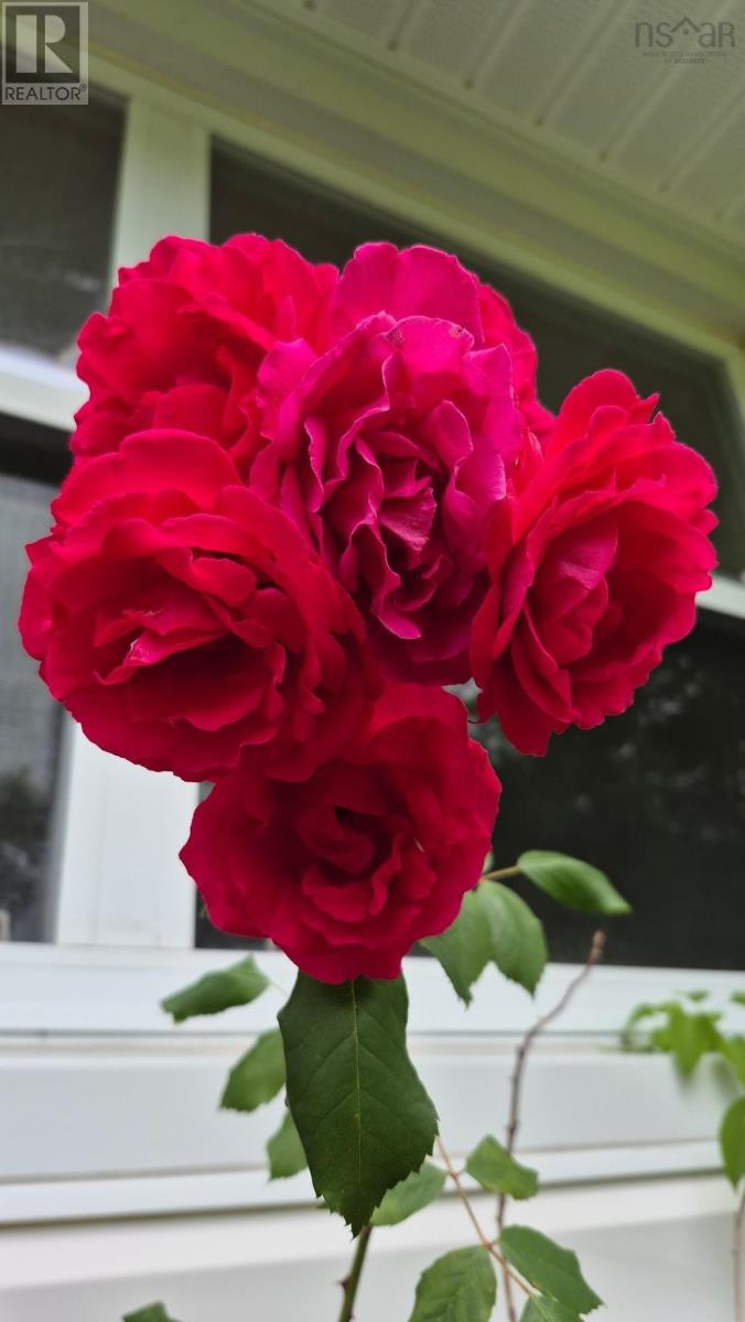 13 Glenmont Avenue, Bedford, Nova Scotia  B4A 1H1 - Photo 46 - 202520770