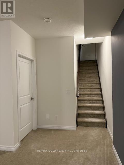 46 Reistwood Drive, Kitchener, Ontario  N2R 0N8 - Photo 35 - X12596794