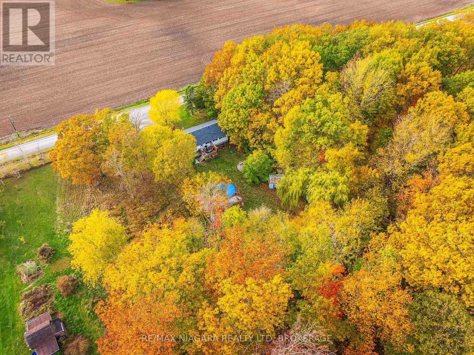 22009 Side Road 20, Wainfleet, Ontario L0S 1V0 - Photo 38 - X12607066