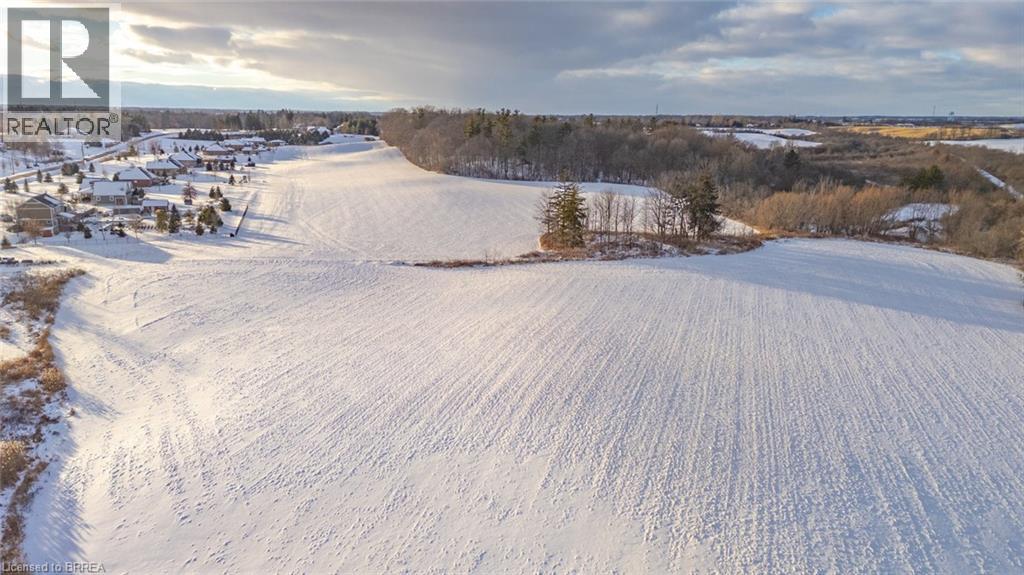 248 Old Onondaga Road E, Onondaga, Ontario  N3R 0C1 - Photo 18 - 40780398