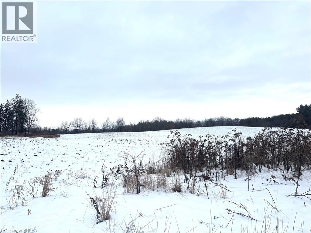 248 Old Onondaga Road E, Onondaga, Ontario  N3R 0C1 - Photo 3 - 40780398