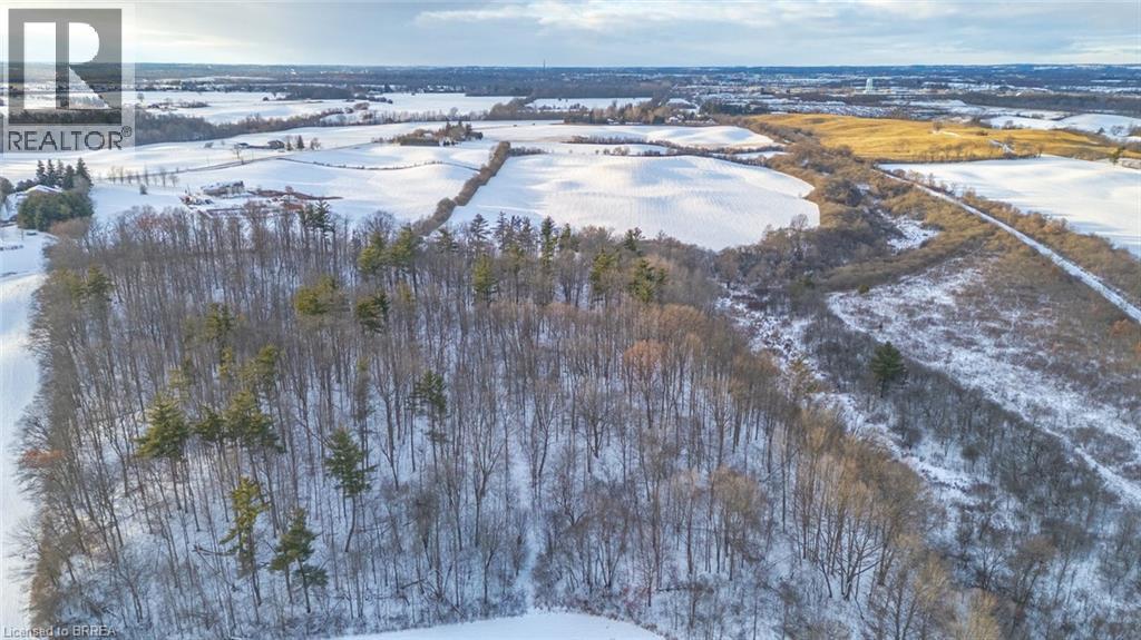 248 Old Onondaga Road E, Onondaga, Ontario  N3R 0C1 - Photo 19 - 40780398