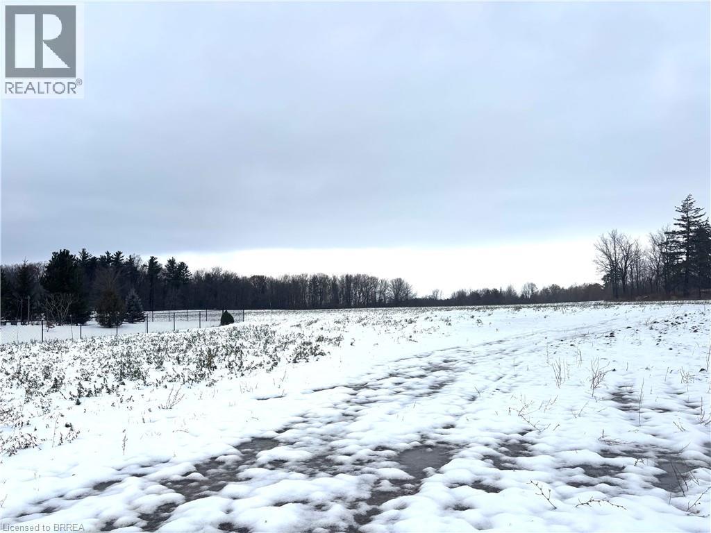 248 Old Onondaga Road E, Onondaga, Ontario  N3R 0C1 - Photo 4 - 40780398