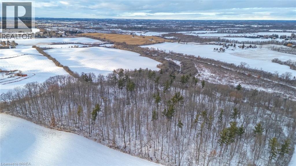 248 Old Onondaga Road E, Onondaga, Ontario  N3R 0C1 - Photo 14 - 40780398