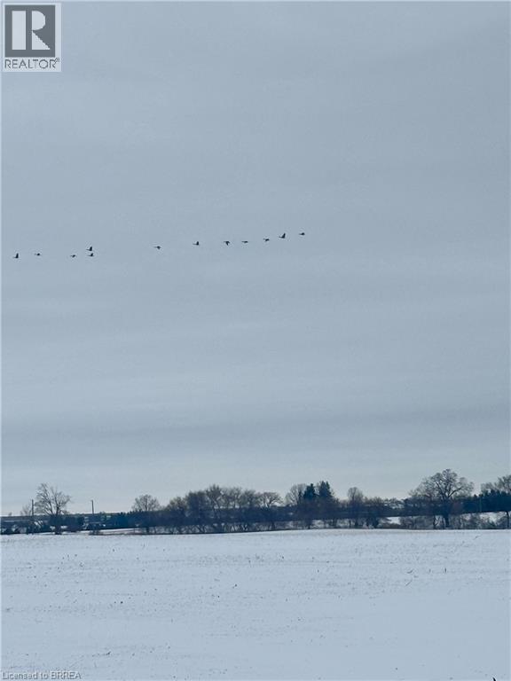 135 Robinson Road, Brantford, Ontario  N3T 5L7 - Photo 30 - 40791366