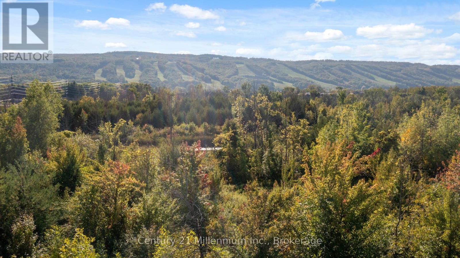 306 - 20 Beckwith Lane, Blue Mountains, Ontario  L9Y 0R4 - Photo 42 - X12607200