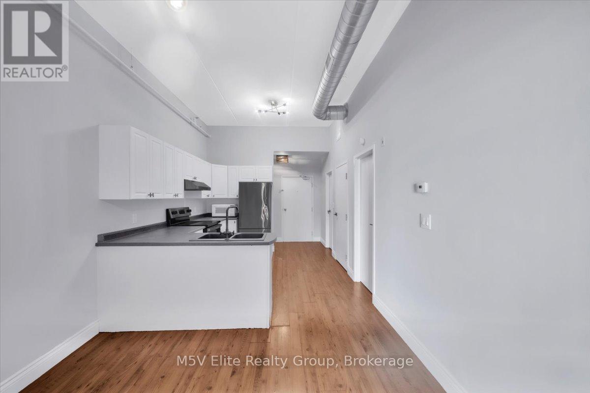 302 - 150 Colborne Street, Brantford, Ontario  N3T 2G6 - Photo 14 - X12607202