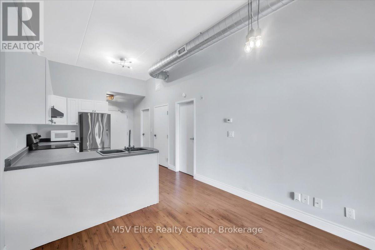 302 - 150 Colborne Street, Brantford, Ontario  N3T 2G6 - Photo 15 - X12607202