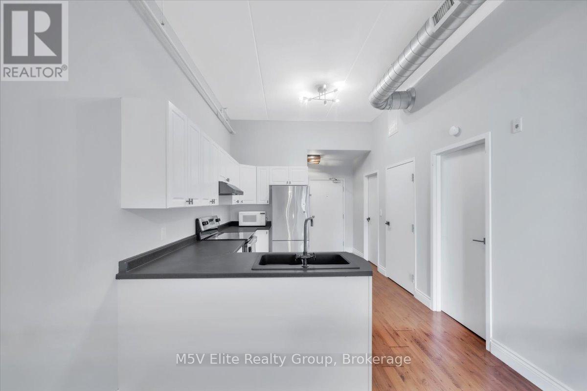 302 - 150 Colborne Street, Brantford, Ontario  N3T 2G6 - Photo 16 - X12607202