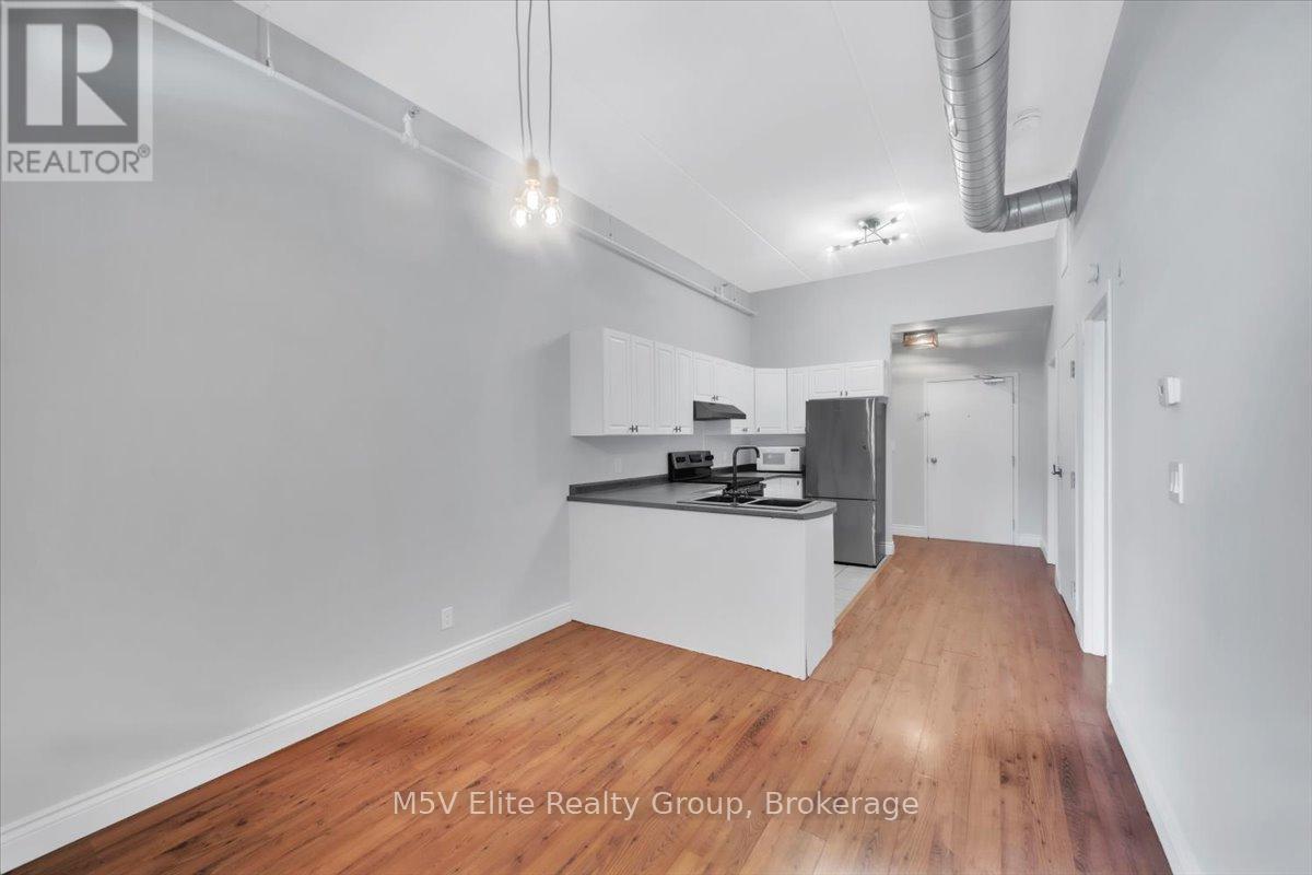 302 - 150 Colborne Street, Brantford, Ontario  N3T 2G6 - Photo 17 - X12607202