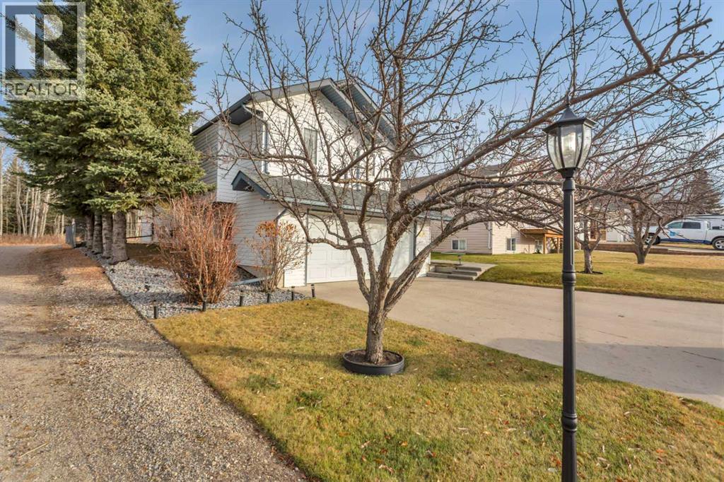 6509 58 Street, Rocky Mountain House, Alberta T4T 1N6 - Photo 3 - A2270041