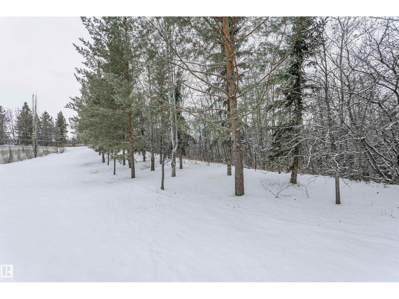 #14 7510 89 St Nw, Edmonton, Alberta  T6C 0X5 - Photo 49 - E4467608