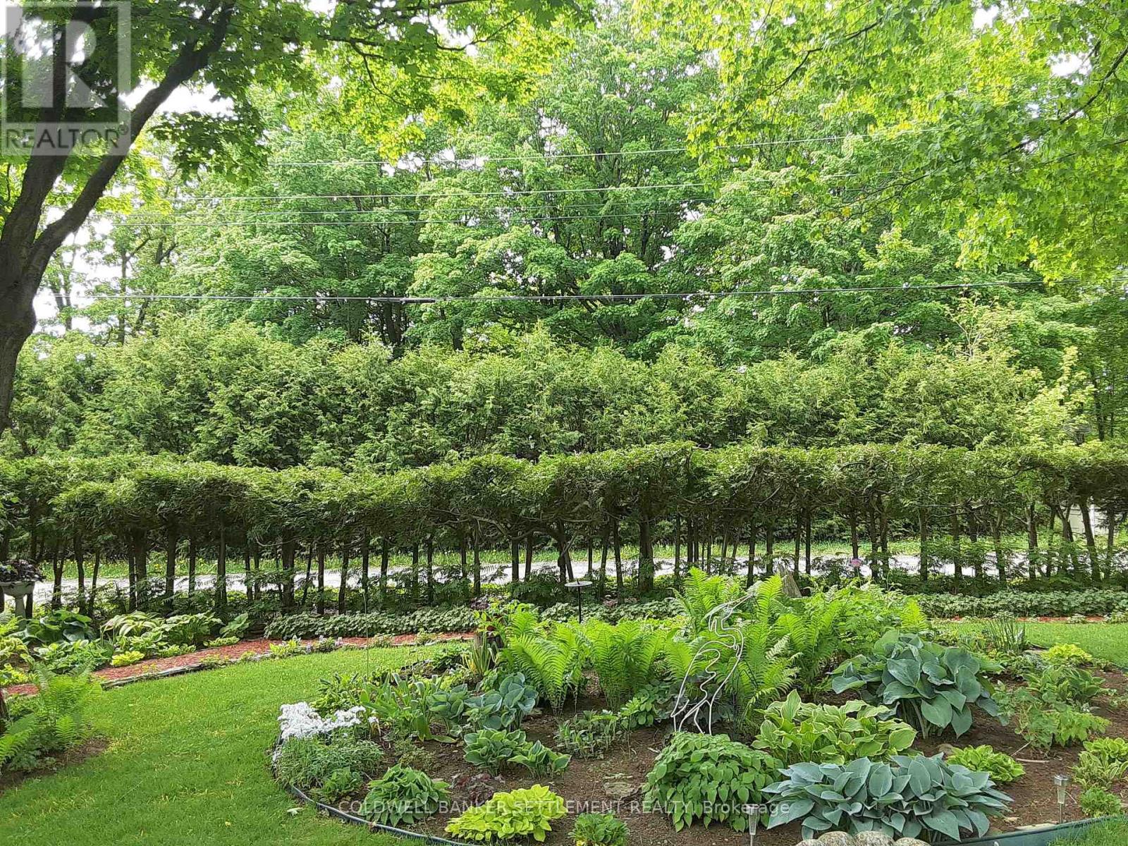 248 Borden Road, Mississippi Mills, Ontario  K7C 3P1 - Photo 43 - X12598810