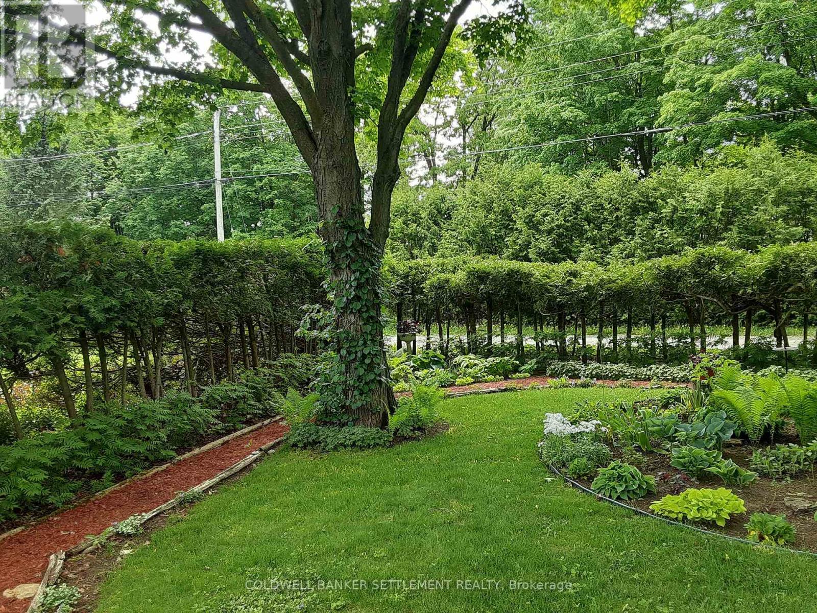 248 Borden Road, Mississippi Mills, Ontario  K7C 3P1 - Photo 44 - X12598810