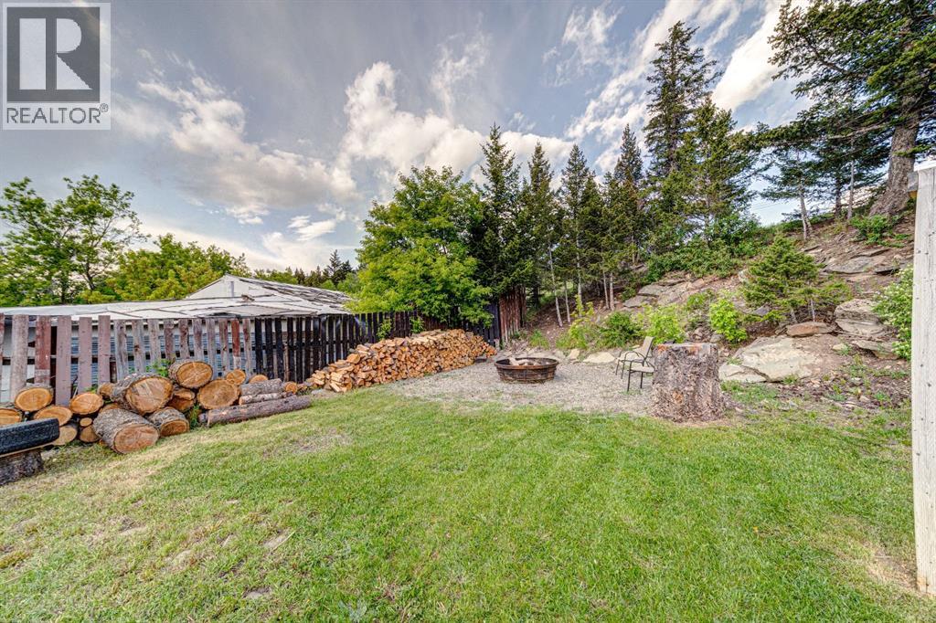 21009 21 Avenue, Bellevue, Alberta  T0K 0C0 - Photo 44 - A2260633