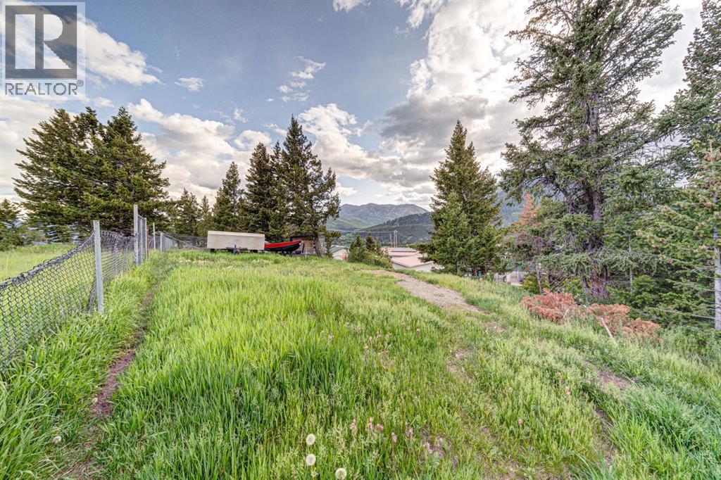 21009 21 Avenue, Bellevue, Alberta  T0K 0C0 - Photo 42 - A2260633