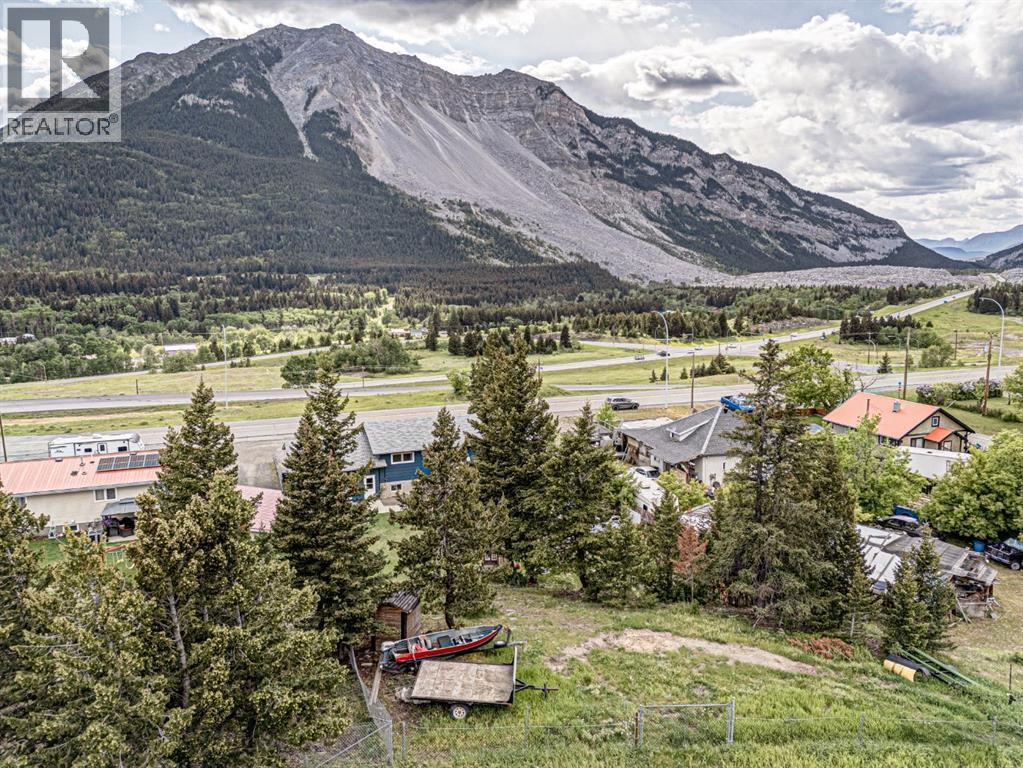 21009 21 Avenue, Bellevue, Alberta  T0K 0C0 - Photo 49 - A2260633