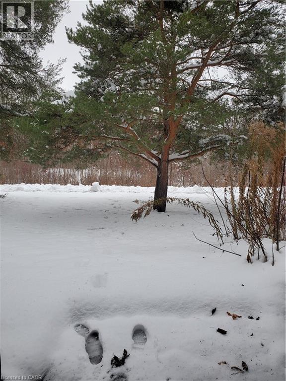 210 Highland Crescent Unit# 19, Kitchener, Ontario  N2M 5H7 - Photo 31 - 40791497