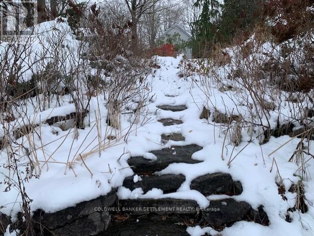 248 Borden Road, Mississippi Mills, Ontario  K7C 3P1 - Photo 49 - X12598810