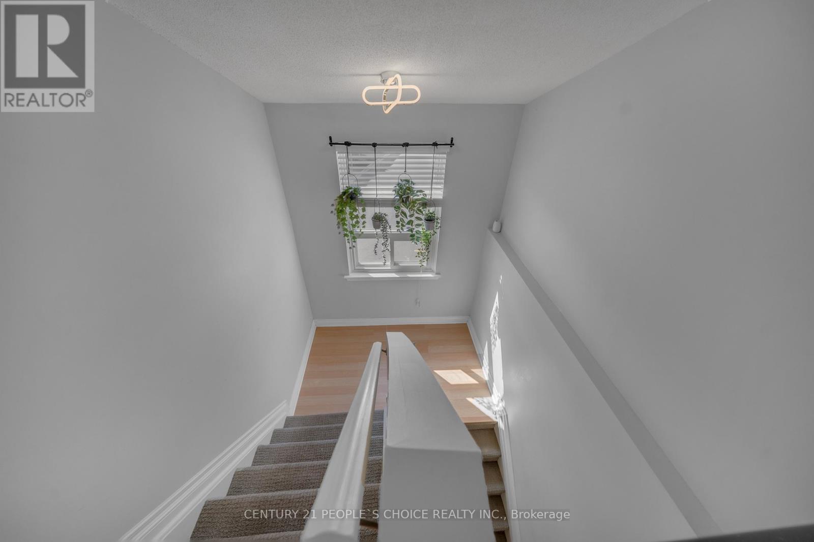 51 Mcmullen Crescent, Brampton, Ontario L6S 3M2 - Photo 25 - W12607594