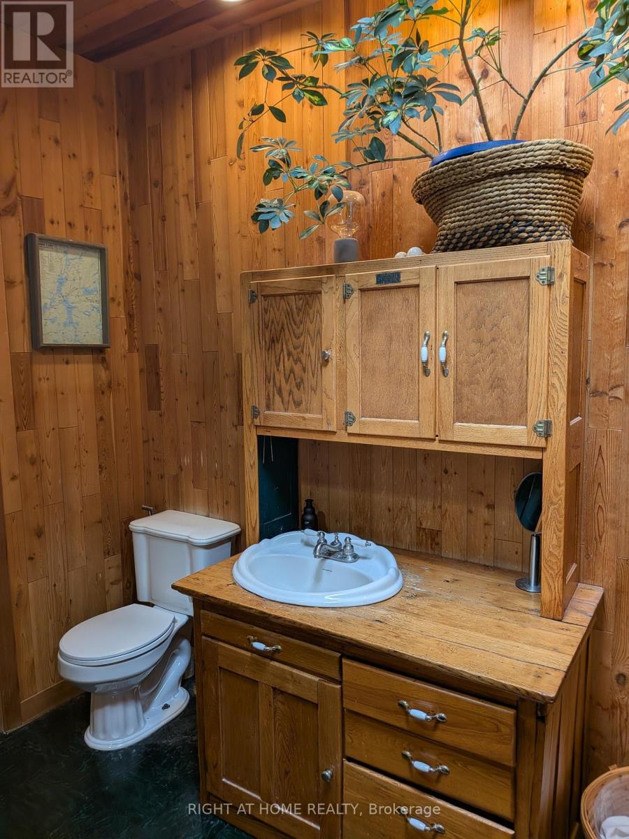 36 Shirlea Boulevard, Georgina, Ontario L4P 1K9 - Photo 21 - N12605866