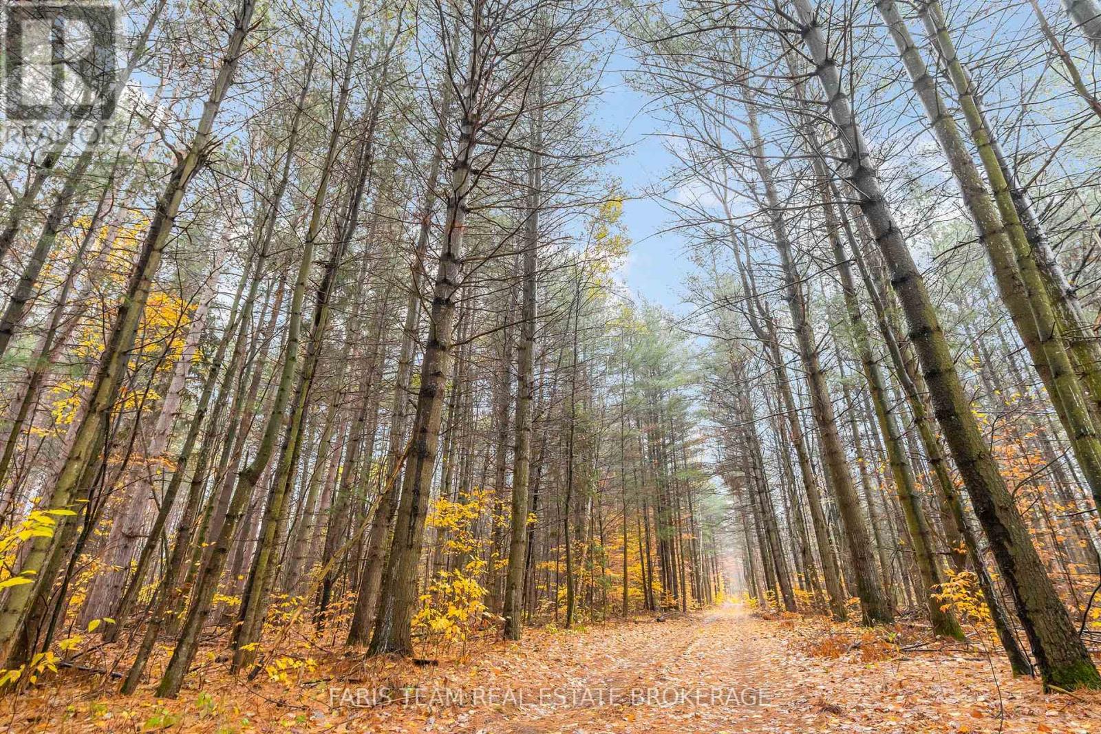 5992 Concession 2 Sunnidale, Clearview, Ontario  L0M 1N0 - Photo 5 - S12522178