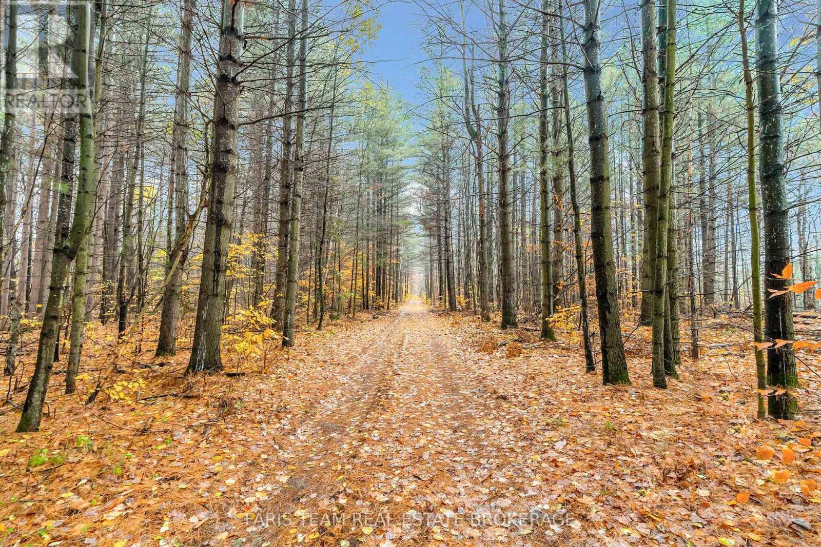 5992 Concession 2 Sunnidale, Clearview, Ontario  L0M 1N0 - Photo 4 - S12522178