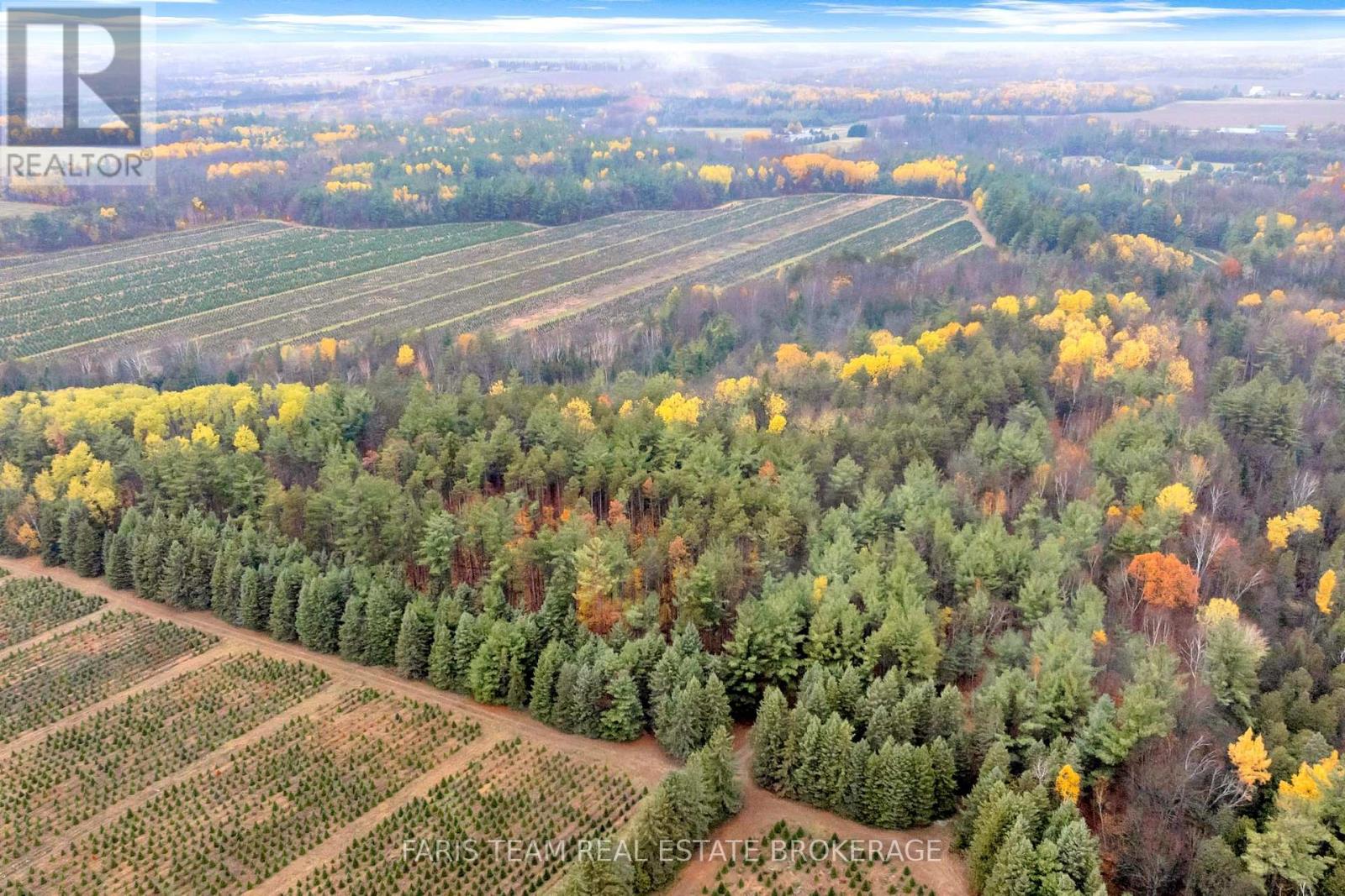 5992 Concession 2 Sunnidale, Clearview, Ontario  L0M 1N0 - Photo 7 - S12522178