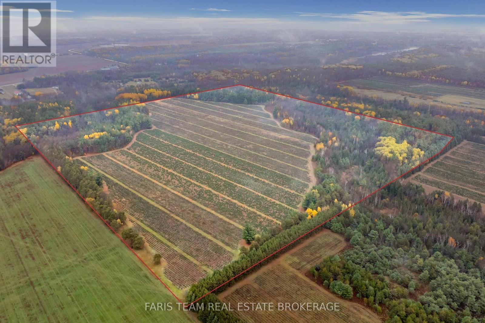 5992 Concession 2 Sunnidale, Clearview, Ontario  L0M 1N0 - Photo 2 - S12522178