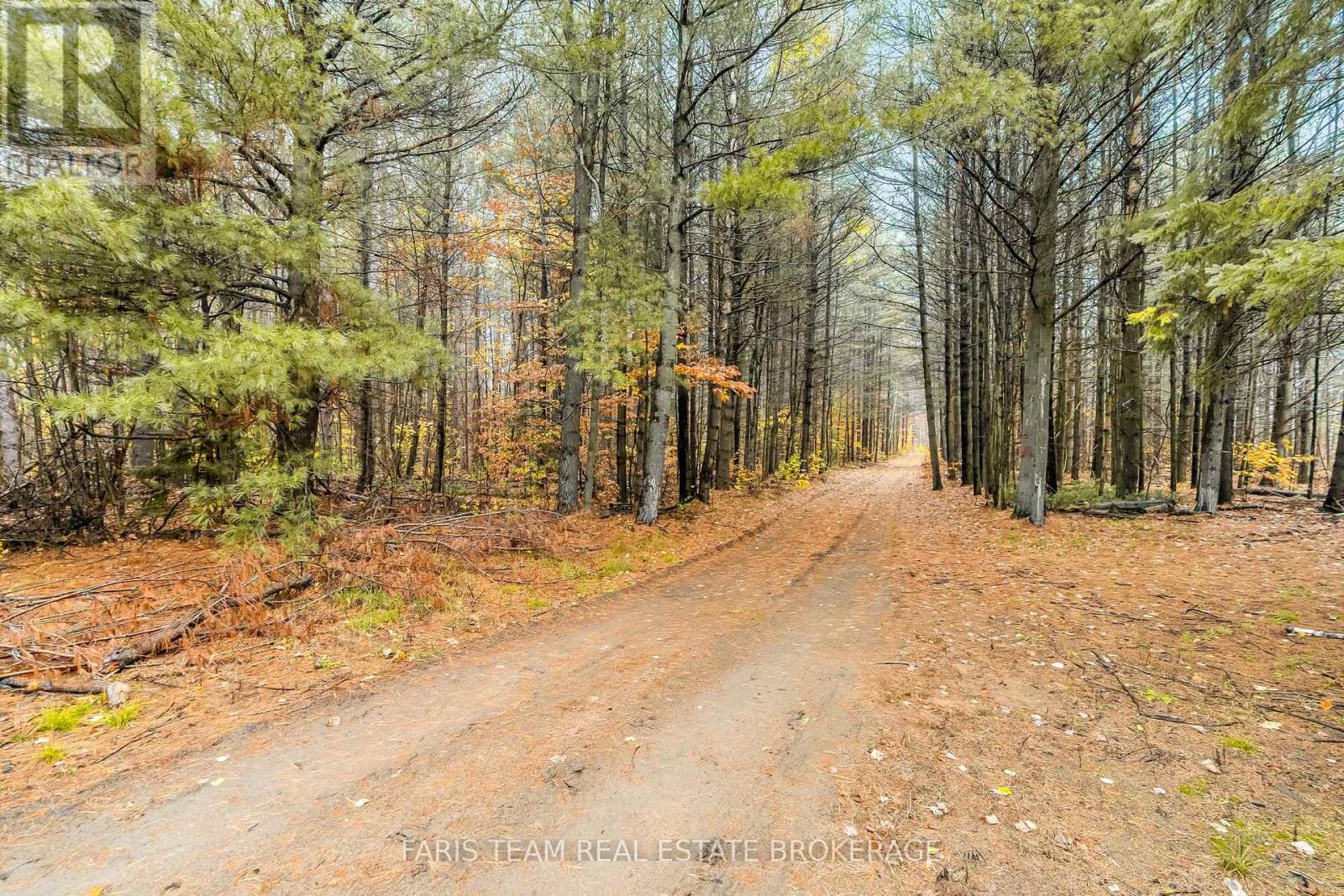 5992 Concession 2 Sunnidale, Clearview, Ontario  L0M 1N0 - Photo 3 - S12522178