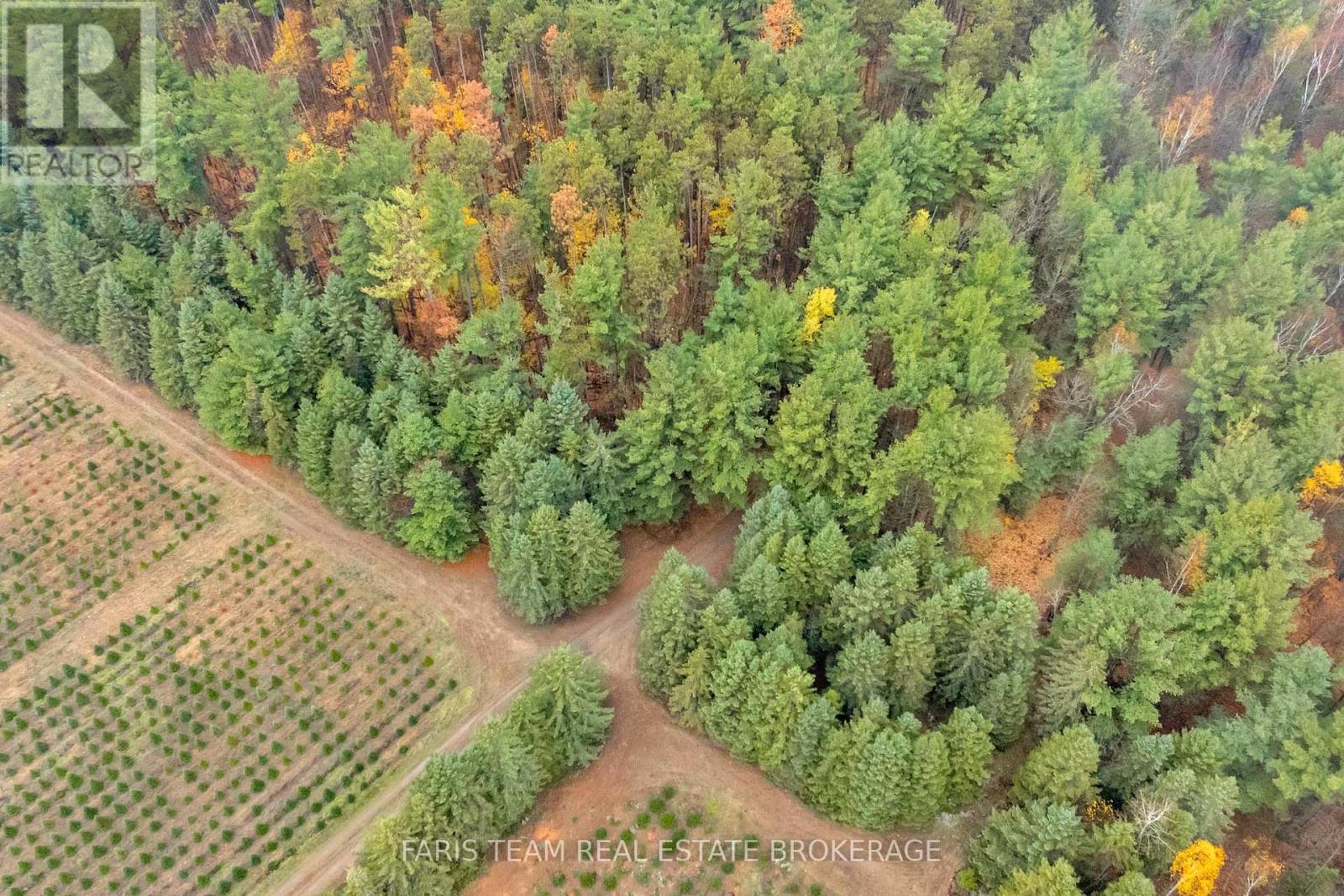 5992 Concession 2 Sunnidale, Clearview, Ontario  L0M 1N0 - Photo 6 - S12522178