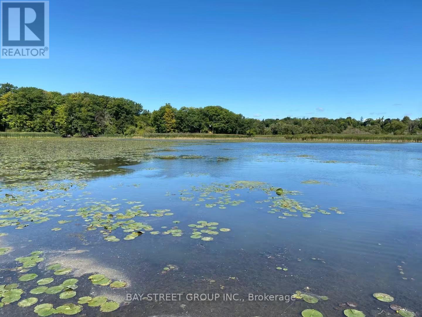 50 Greybeaver Trail, Toronto, Ontario  M1C 4N6 - Photo 45 - E12607788