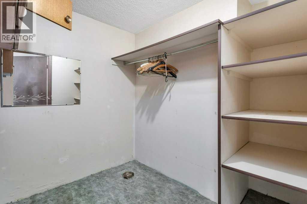 516 Poplar Avenue, Trochu, Alberta  T0M 2C0 - Photo 43 - A2260828