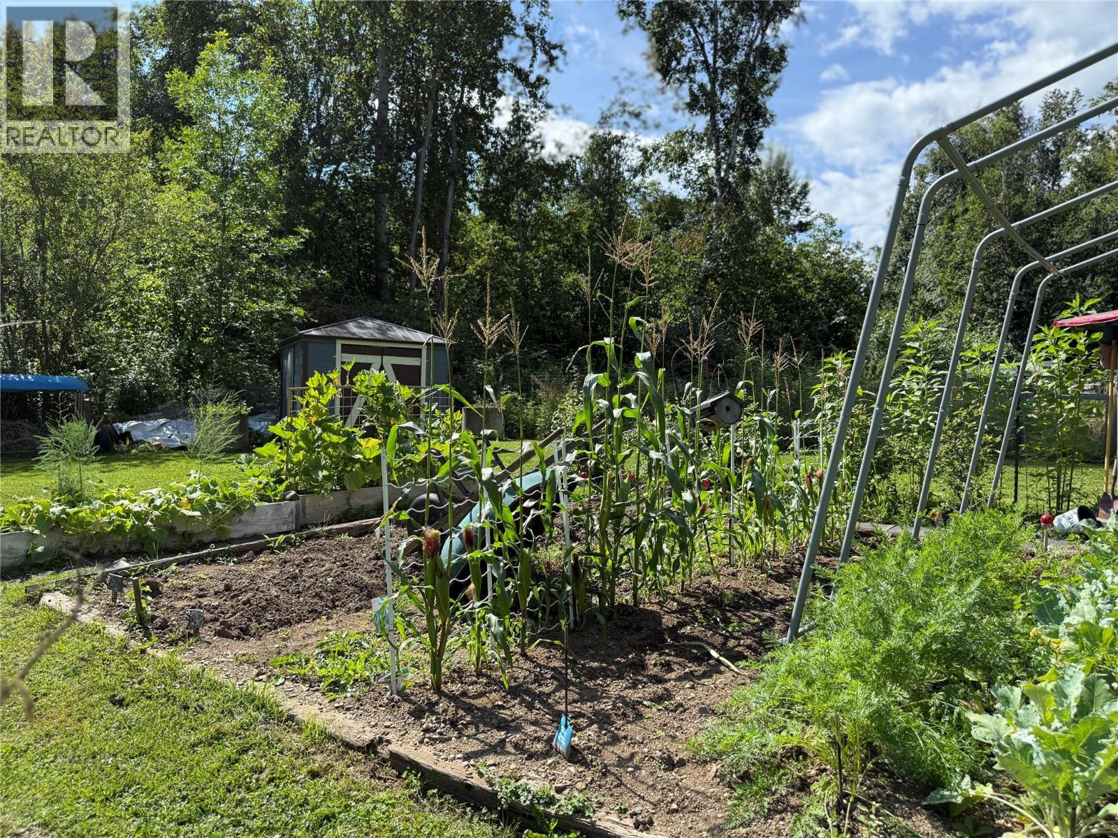 4690 44 Avenue Nw, Salmon Arm, British Columbia  V1E 3A7 - Photo 47 - 10370499