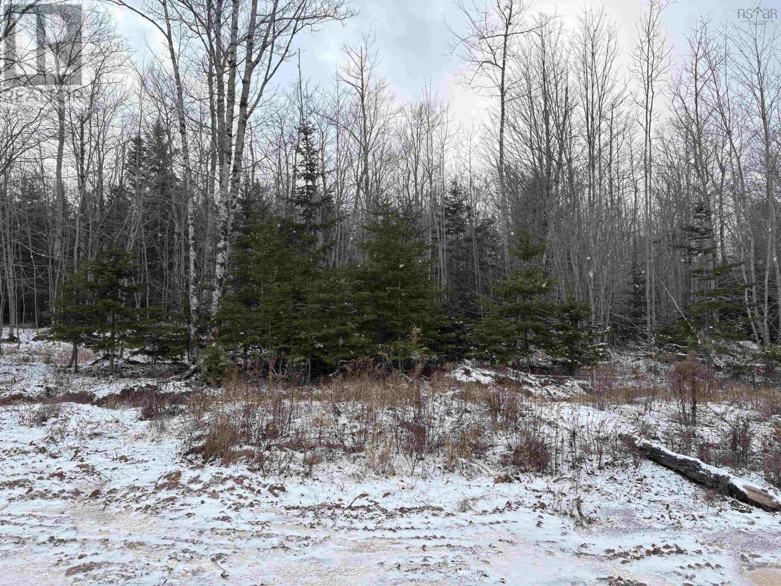 44 Amelia Ave, Stewiacke, Nova Scotia  B0N 2J0 - Photo 4 - 202529141