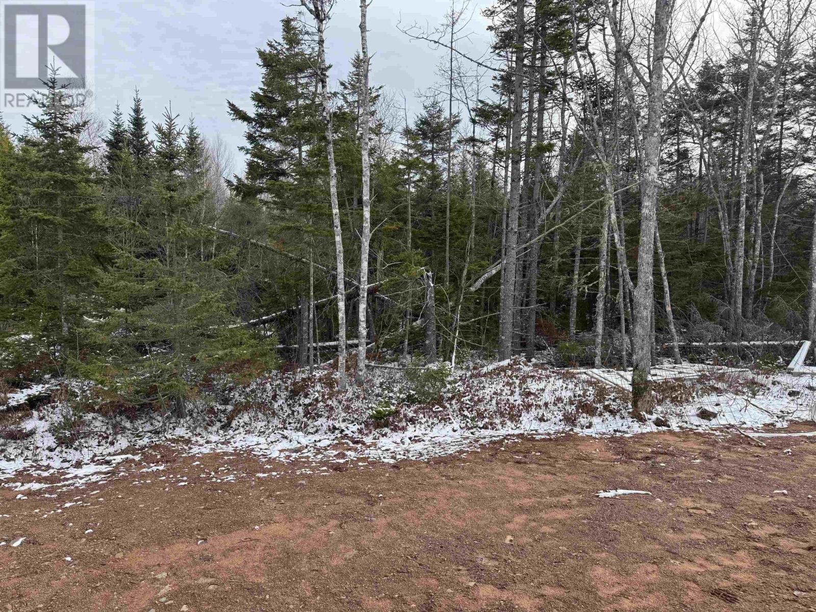 139 Blainedale Drive, Salmon River, Nova Scotia  B2N 6M3 - Photo 47 - 202519248