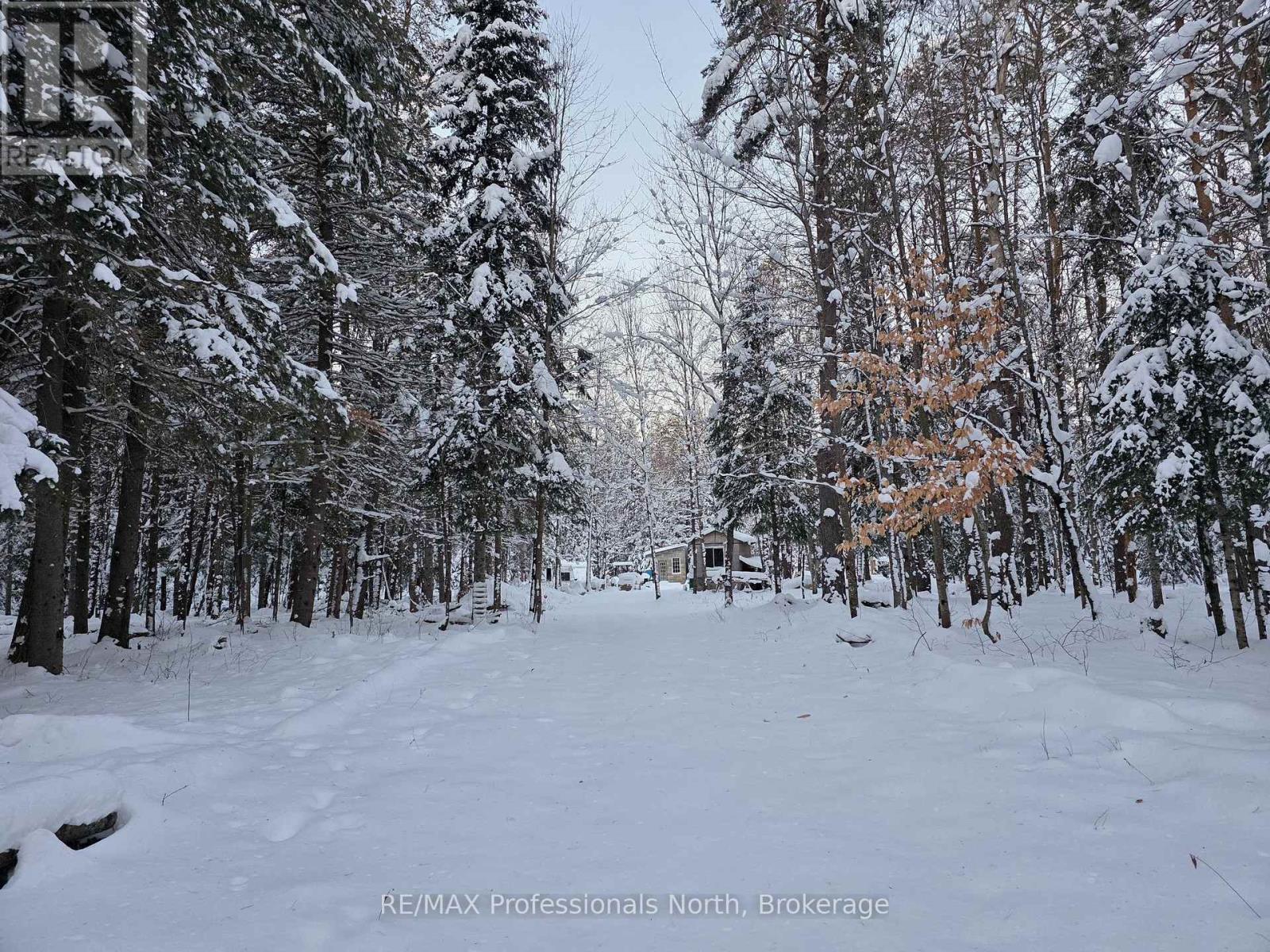 124 Cardwell Lake Road, Huntsville, Ontario P0B 1M0 - Photo 1 - X12600966