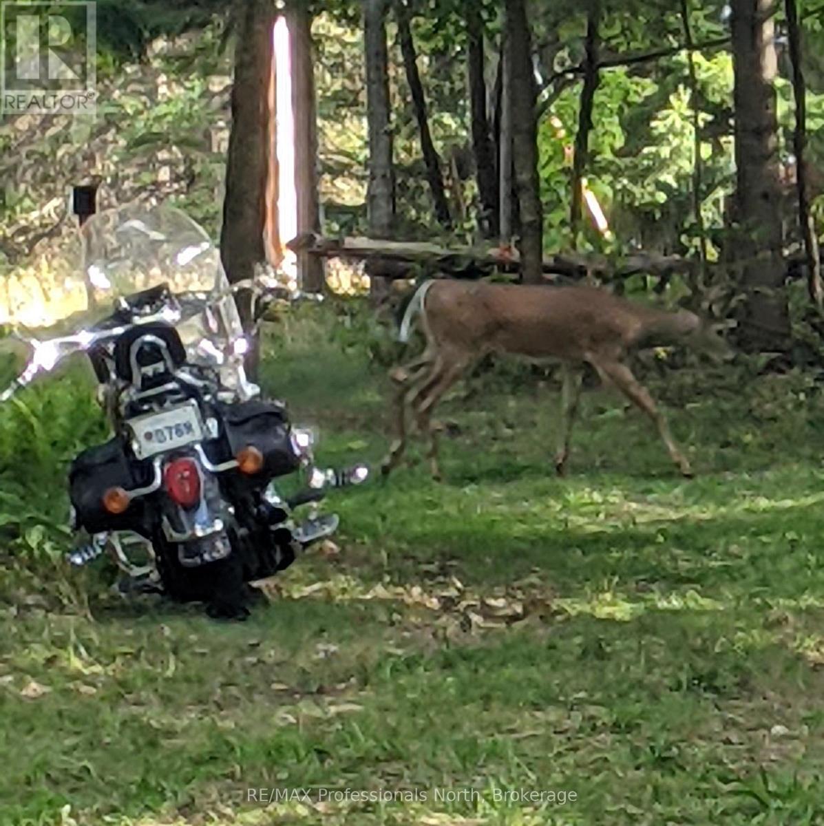 124 Cardwell Lake Road, Huntsville, Ontario P0B 1M0 - Photo 10 - X12600966