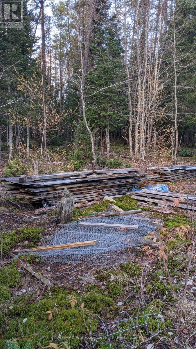 124 Cardwell Lake Road, Huntsville, Ontario P0B 1M0 - Photo 22 - X12600966