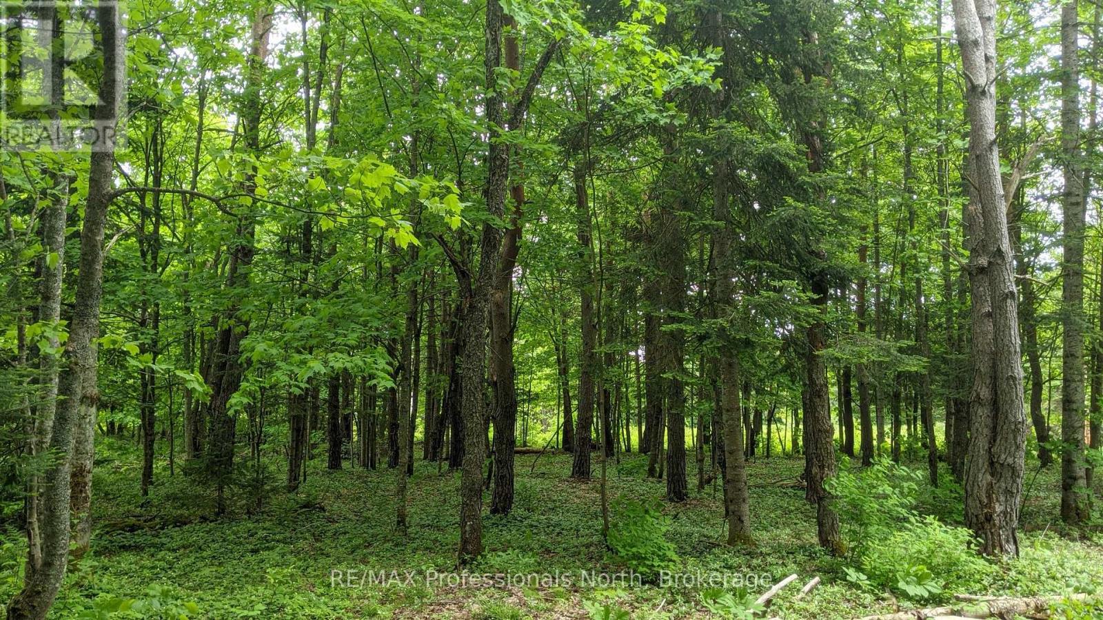 124 Cardwell Lake Road, Huntsville, Ontario P0B 1M0 - Photo 20 - X12600966