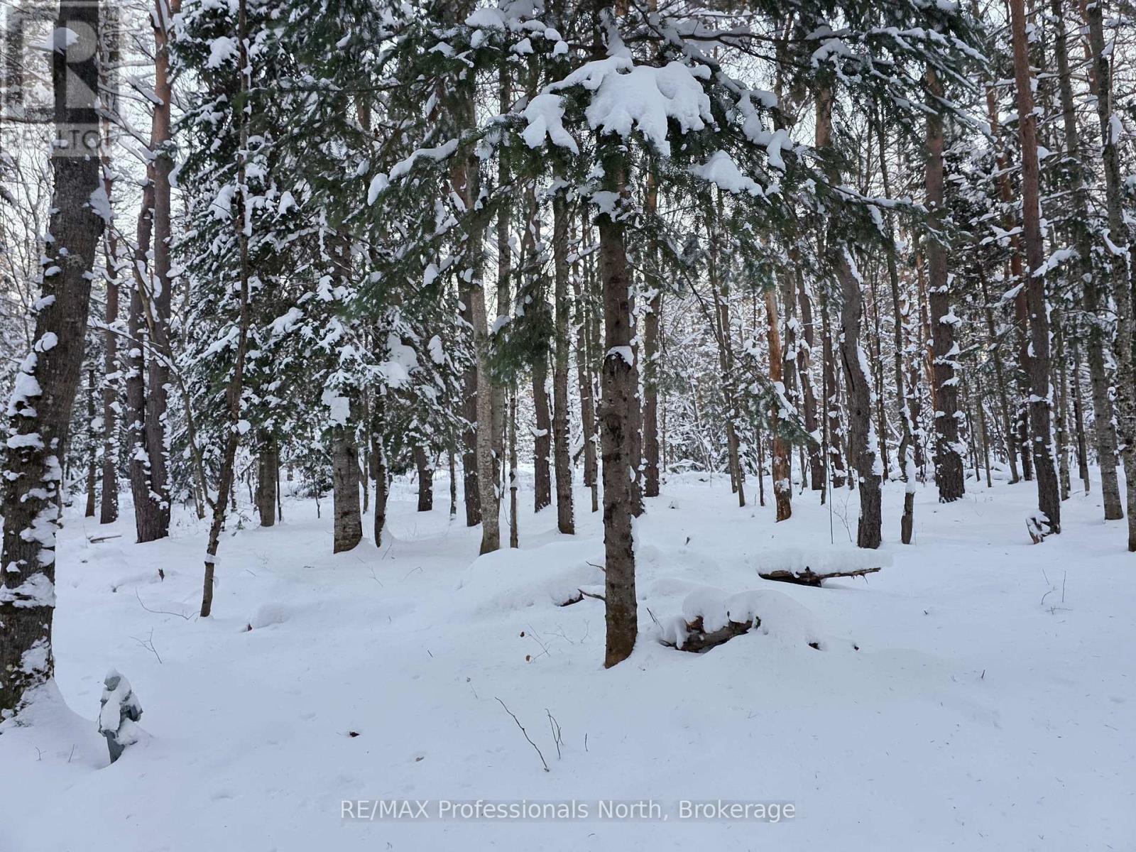 124 Cardwell Lake Road, Huntsville, Ontario P0B 1M0 - Photo 2 - X12600966