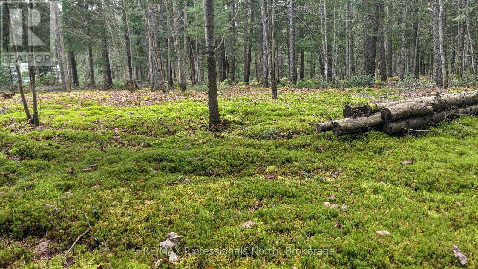 124 Cardwell Lake Road, Huntsville, Ontario P0B 1M0 - Photo 18 - X12600966