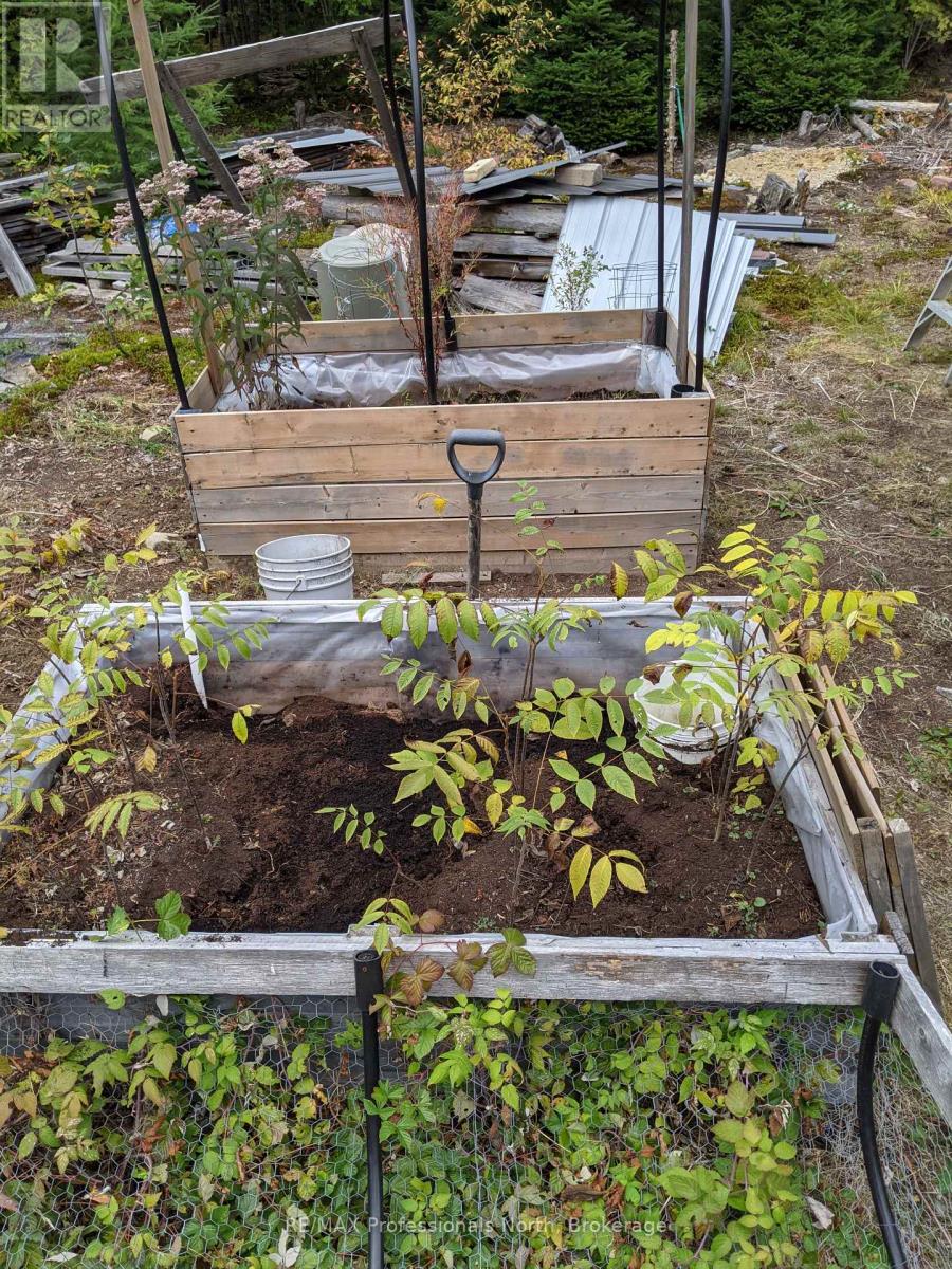 124 Cardwell Lake Road, Huntsville, Ontario P0B 1M0 - Photo 8 - X12600966