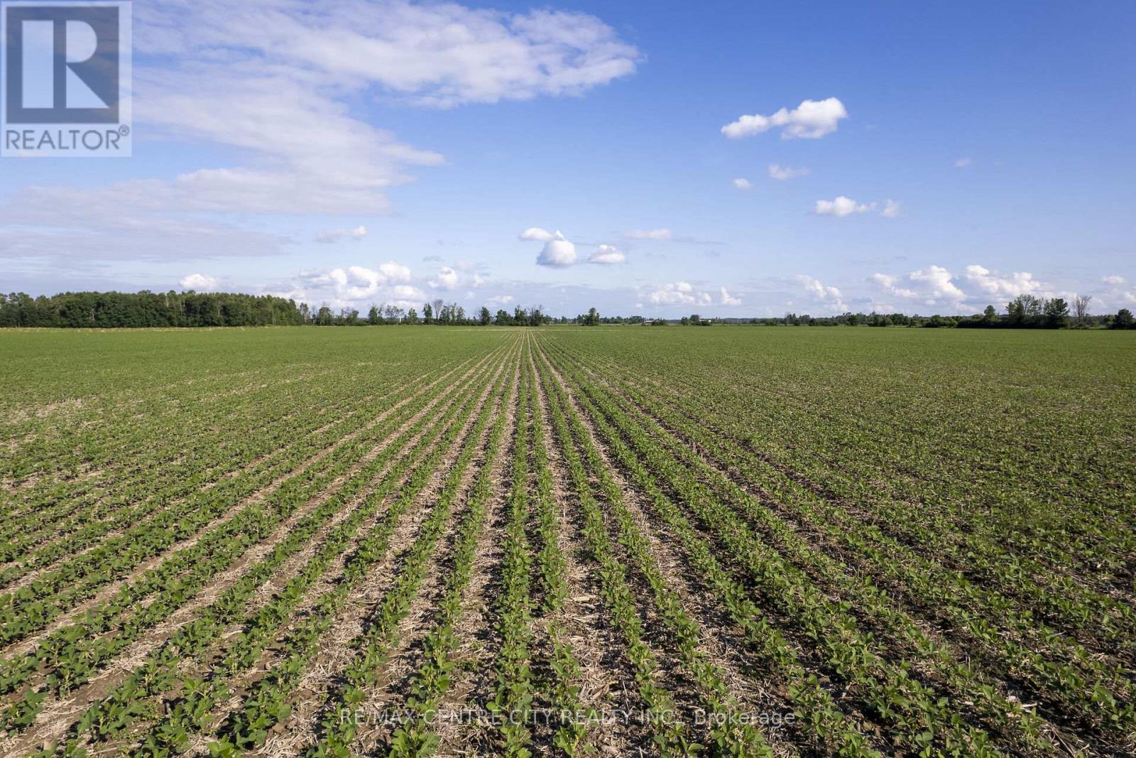 Pt Lt 21 Conc 1 Burwell Road, Admaston/bromley, Ontario K0J 0A6 - Photo 5 - X12541724