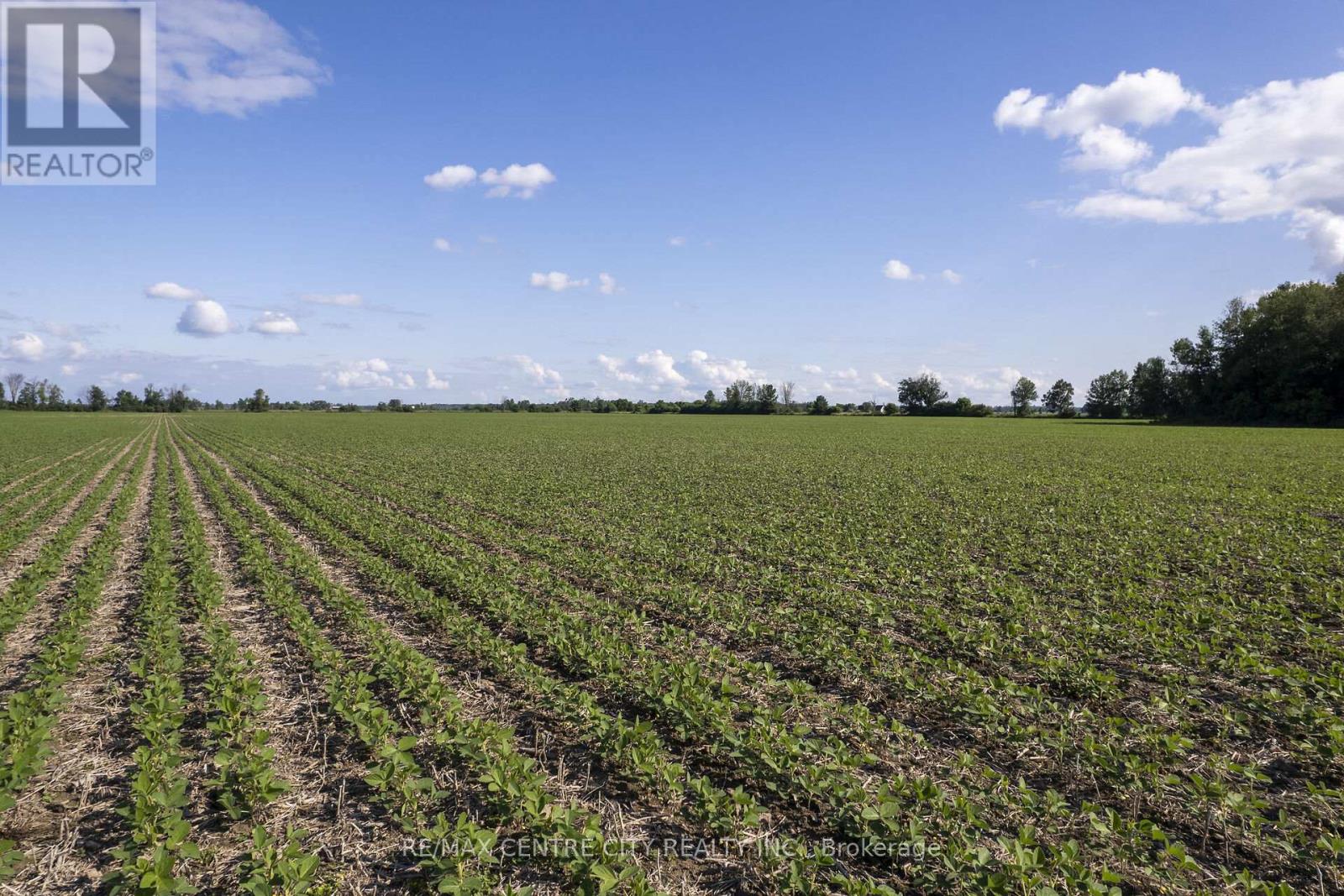 Pt Lt 21 Conc 1 Burwell Road, Admaston/bromley, Ontario K0J 0A6 - Photo 4 - X12541724