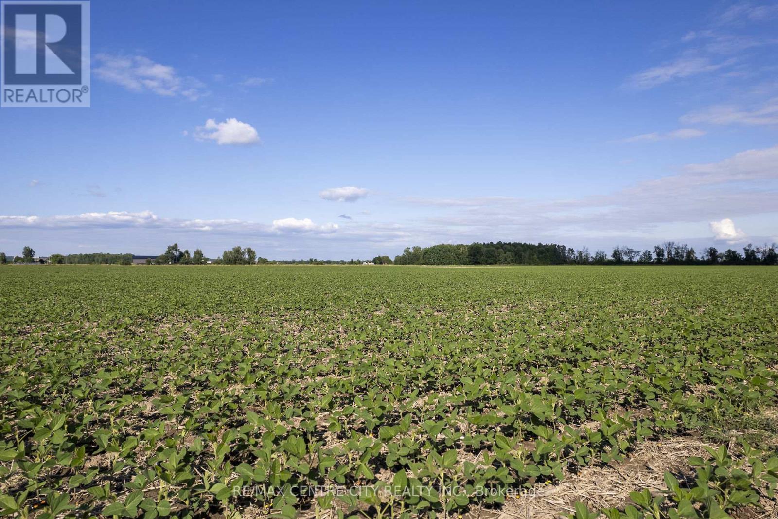 Pt Lt 21 Conc 1 Burwell Road, Admaston/bromley, Ontario K0J 0A6 - Photo 7 - X12541724