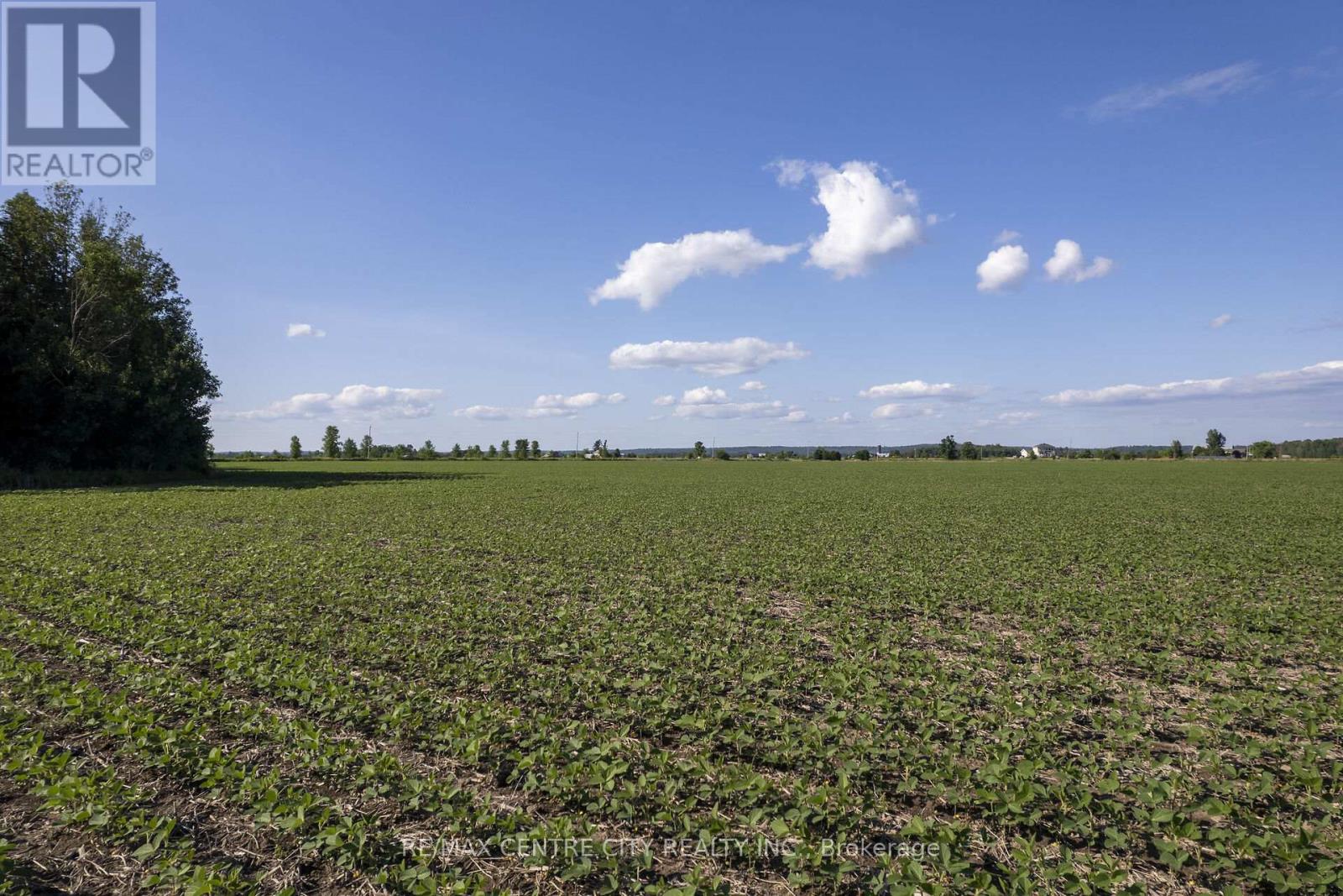 Pt Lt 21 Conc 1 Burwell Road, Admaston/bromley, Ontario K0J 0A6 - Photo 8 - X12541724