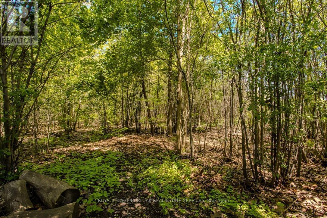 5253 Bromley Road, Burlington, Ontario  L7L 3G1 - Photo 14 - W12409736